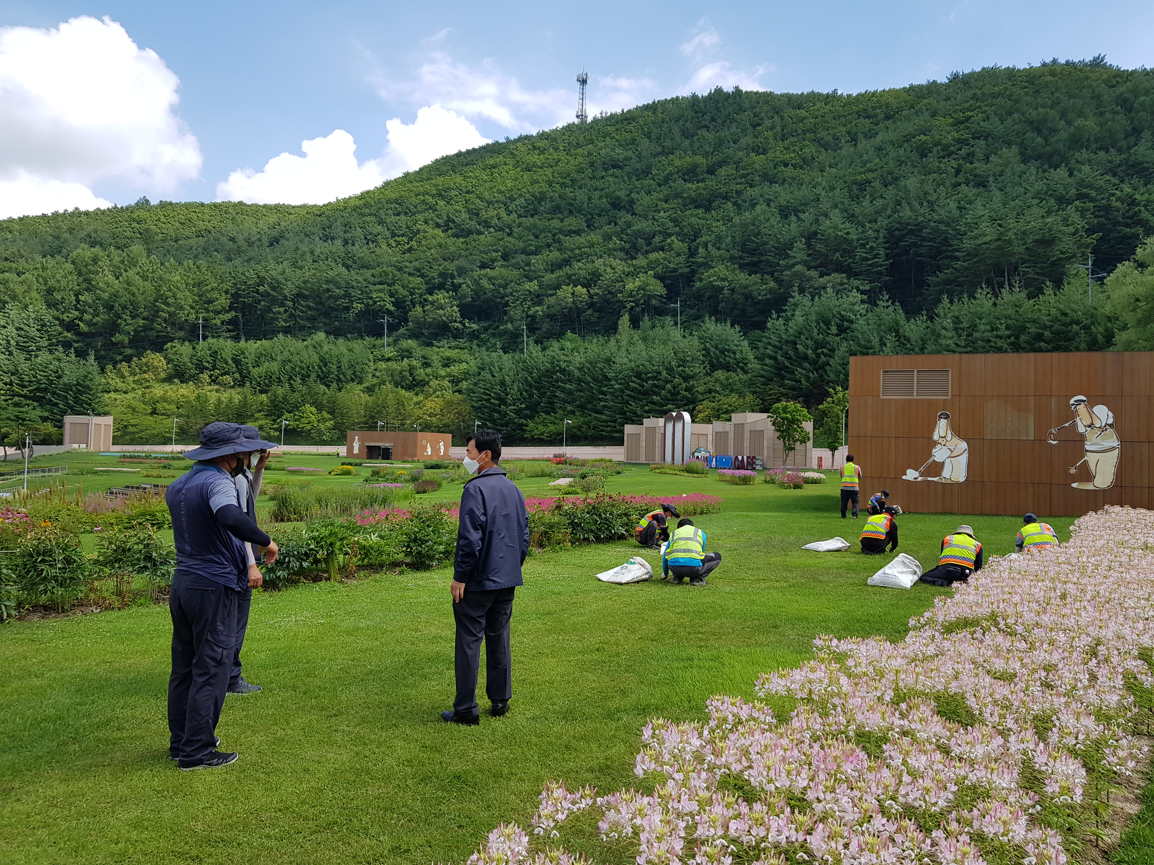 하이원 잔디광장, 사북~옹구 진입도로 현장점검